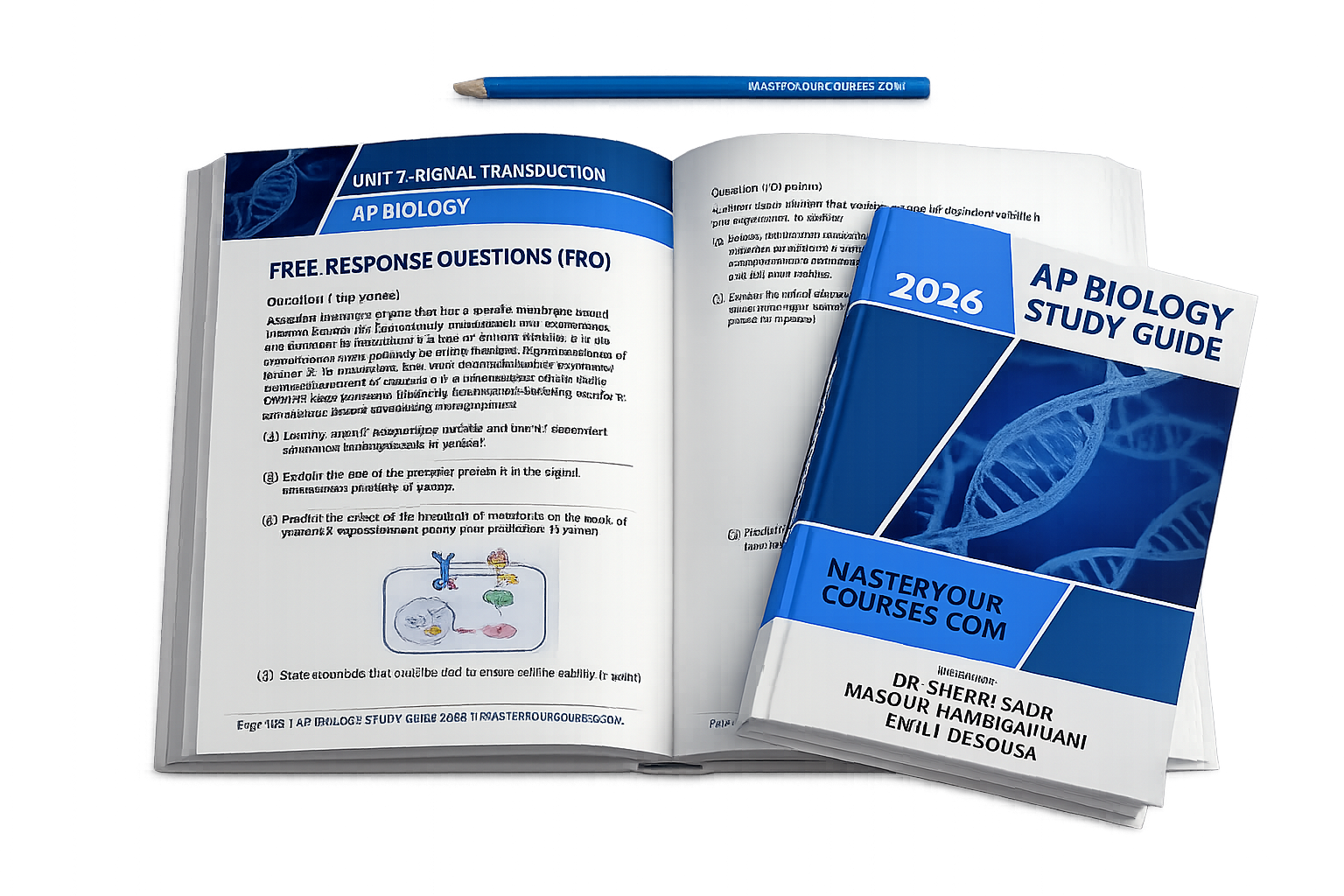 AP Biology Study Guide cover